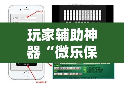 玩家辅助神器“微乐保皇到底能开挂吗”(透视)其实确实有挂