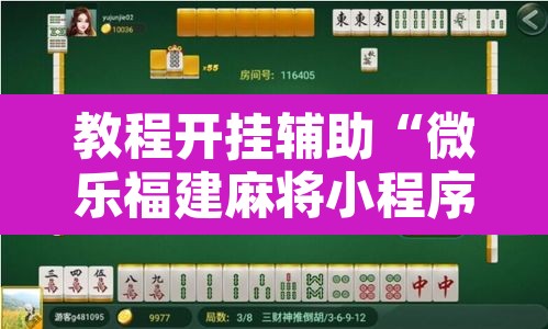 教程开挂辅助“微乐福建麻将小程序挂	”开挂辅助脚本+详细开挂安装教程