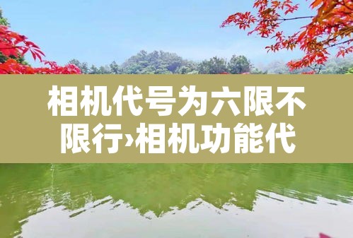 相机代号为六限不限行›相机功能代号