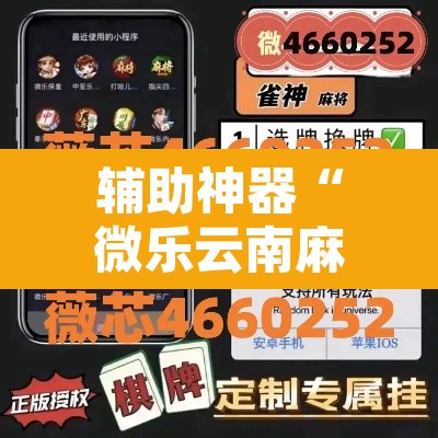 辅助神器“微乐云南麻将万能开挂器”开挂辅助脚本+详细开挂安装教程
