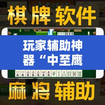 玩家辅助神器“中至鹰潭麻将免费挂”(透视挂)辅助透视教程