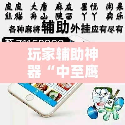 玩家辅助神器“中至鹰潭麻将免费挂”(透视挂)辅助透视教程