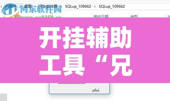 开挂辅助工具“兄弟大厅开挂透视软件”开挂辅助脚本+详细开挂安装教程