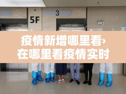 疫情新增哪里看›在哪里看疫情实时动态