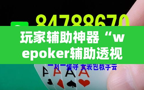 玩家辅助神器“wepoker辅助透视软件”(透视)其实确实有挂