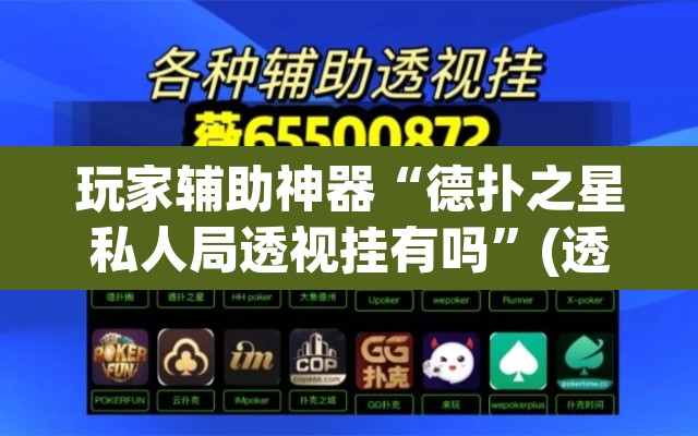 玩家辅助神器“德扑之星私人局透视挂有吗”(透视挂)辅助透视教程