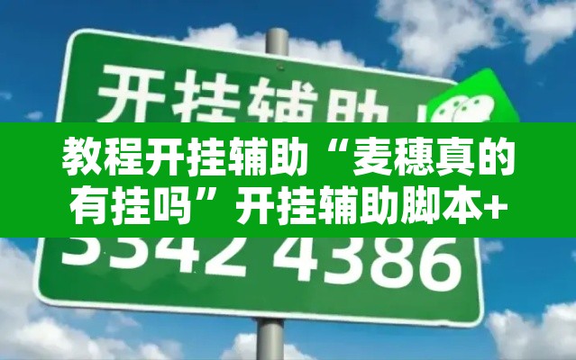 教程开挂辅助“麦穗真的有挂吗	”开挂辅助脚本+详细开挂安装教程