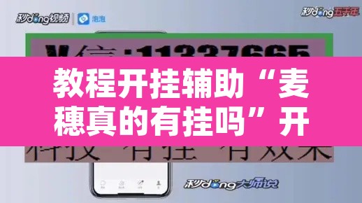教程开挂辅助“麦穗真的有挂吗”开挂辅助脚本+详细开挂安装教程
