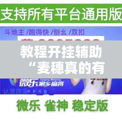 教程开挂辅助“麦穗真的有挂吗”开挂辅助脚本+详细开挂安装教程