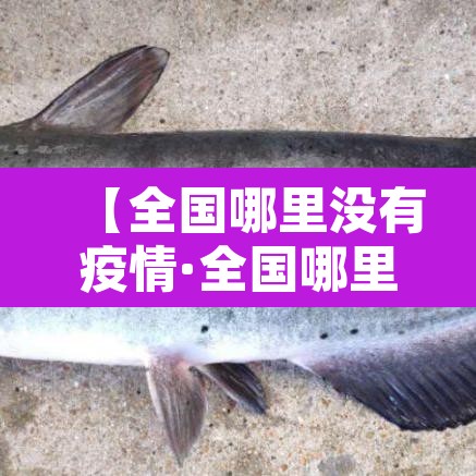 【全国哪里没有疫情·全国哪里没有疫情最严重】