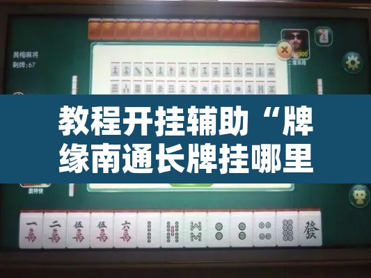 教程开挂辅助“牌缘南通长牌挂哪里能买	”其实确实有挂