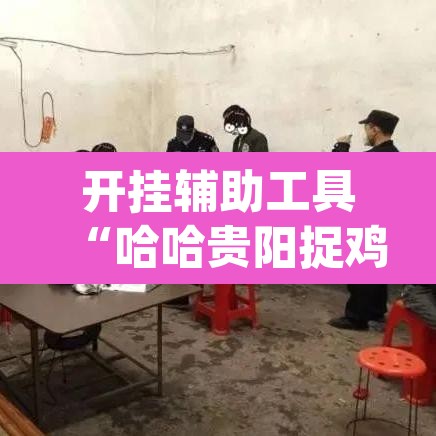 开挂辅助工具“哈哈贵阳捉鸡麻将特点开挂	”(透视)其实确实有挂