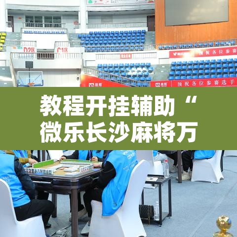 教程开挂辅助“微乐长沙麻将万能开挂器通用版”附辅助神器开挂脚本详细步骤