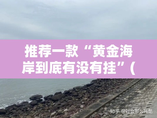 推荐一款“黄金海岸到底有没有挂”(透视挂)辅助透视教程