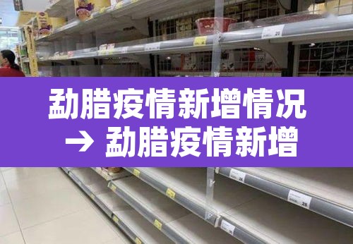 勐腊疫情新增情况 → 勐腊疫情新增情况最新消息