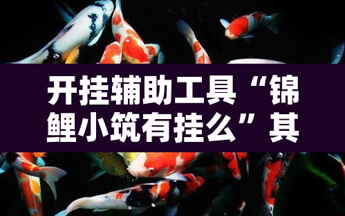 开挂辅助工具“锦鲤小筑有挂么”其实确实有挂