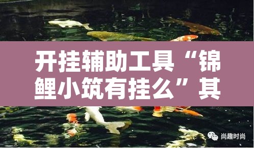 开挂辅助工具“锦鲤小筑有挂么	”其实确实有挂