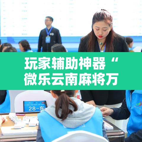 玩家辅助神器“微乐云南麻将万能开挂器	”其实确实有挂