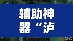 辅助神器“泸州大贰可以开挂吗有挂的”其实确实有挂