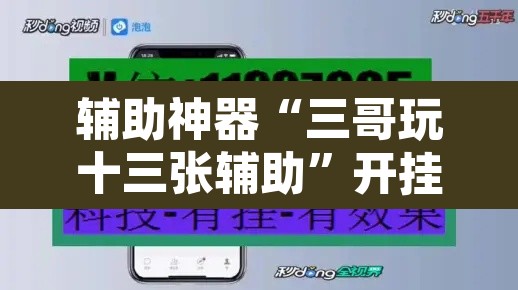 辅助神器“三哥玩十三张辅助”开挂辅助脚本+详细开挂安装教程