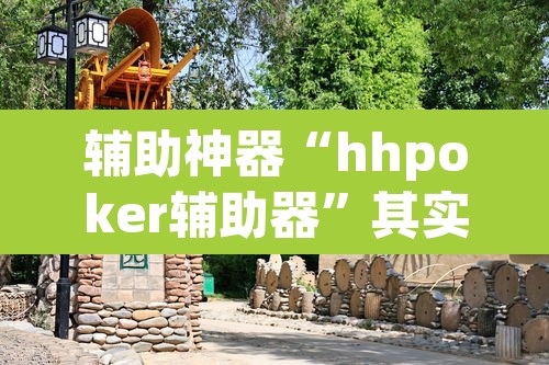 辅助神器“hhpoker辅助器”其实确实有挂