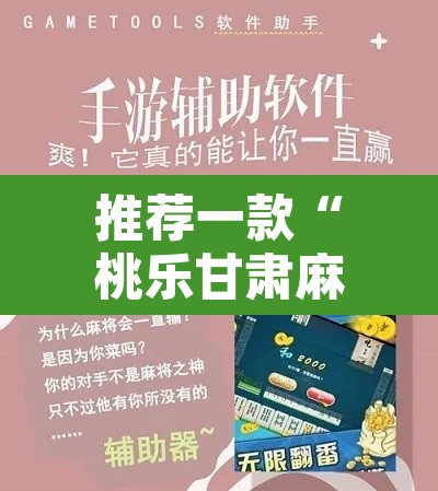 推荐一款“桃乐甘肃麻将到底有没有挂”开挂辅助脚本+详细开挂安装教程