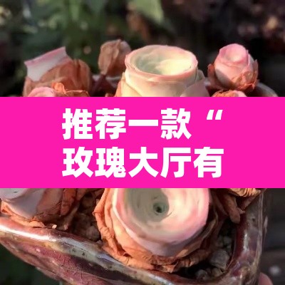 推荐一款“玫瑰大厅有辅助吗	”其实确实有挂