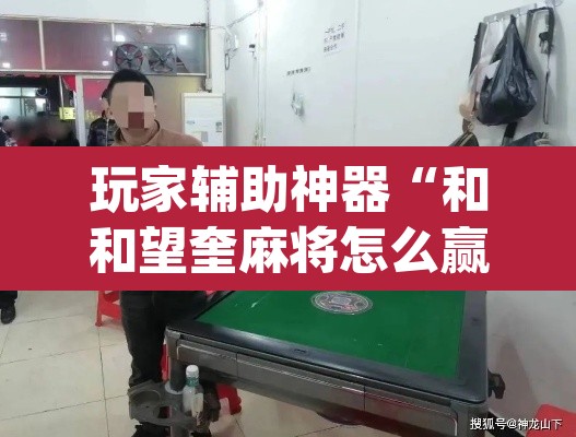 玩家辅助神器“和和望奎麻将怎么赢”(透视)其实确实有挂