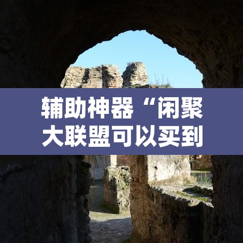 辅助神器“闲聚大联盟可以买到挂吗”(透视挂)辅助透视教程