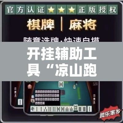 开挂辅助工具“凉山跑得快怎么透视”其实确实有挂