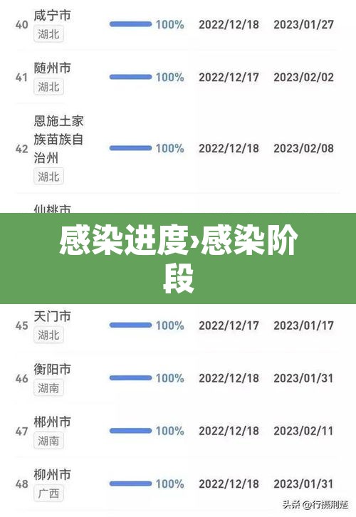 感染进度›感染阶段