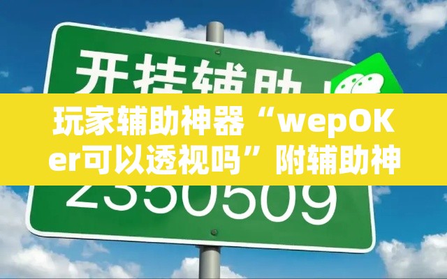 玩家辅助神器“wepOKer可以透视吗”附辅助神器开挂脚本详细步骤