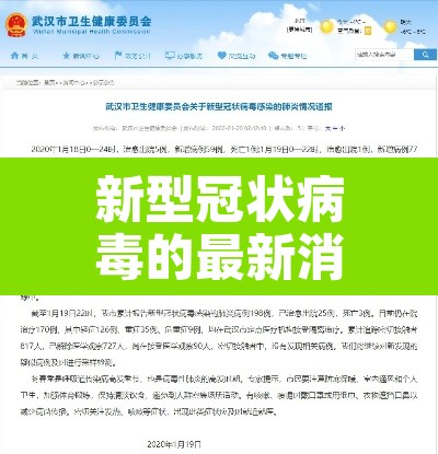 新型冠状病毒的最新消息›新型冠状病毒最新情况消息