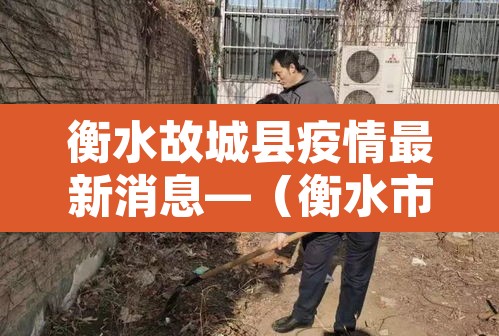 衡水故城县疫情最新消息—(衡水市故城县疫情) 衡水故城县疫情最新消息—(衡水市故城县疫情)
