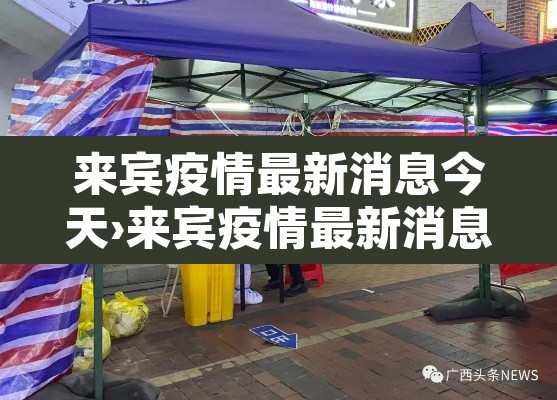 来宾疫情最新消息今天›来宾疫情最新消息今天封城了