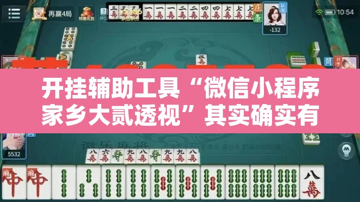 开挂辅助工具“微信小程序家乡大贰透视”其实确实有挂