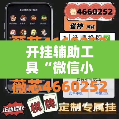 开挂辅助工具“微信小程序家乡大贰透视”其实确实有挂