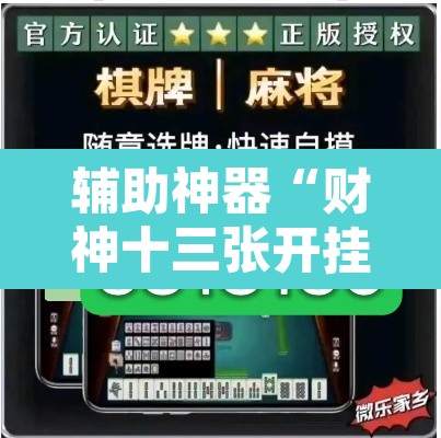 辅助神器“财神十三张开挂透视软件”其实确实有挂