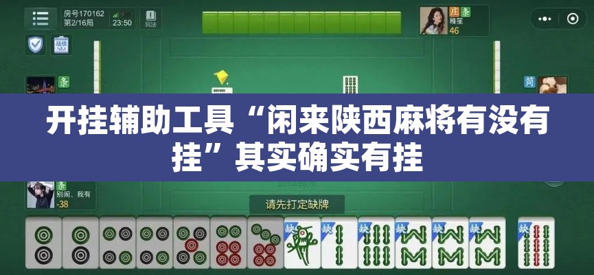 玩家辅助神器“微乐免费房间打麻将怎么开挂”开挂辅助脚本+详细开挂安装教程