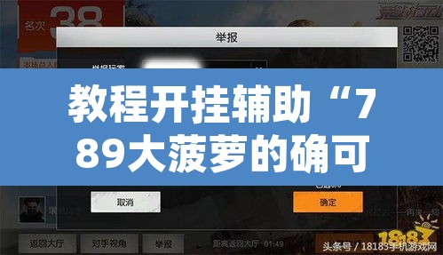 教程开挂辅助“789大菠萝的确可以开挂	”(透视挂)辅助透视教程