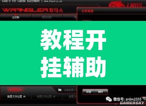 教程开挂辅助“德扑之星有透视开挂吗”(透视挂)辅助透视教程