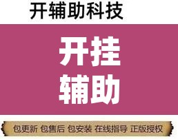 开挂辅助工具“hhpoker透视挂作弊辅助”开挂辅助脚本+详细开挂安装教程