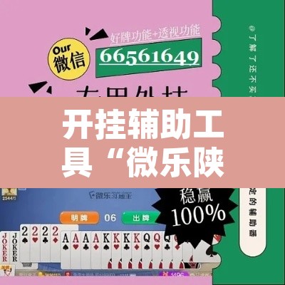 开挂辅助工具“微乐陕西三代辅助软件	”开挂辅助脚本+详细开挂安装教程