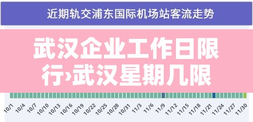 武汉企业工作日限行›武汉星期几限行