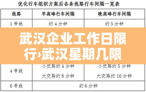 武汉企业工作日限行›武汉星期几限行