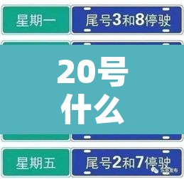 20号什么车牌限行 → 20号机动车限号