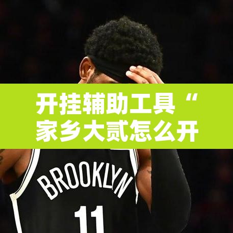 开挂辅助工具“家乡大贰怎么开挂是真的吗?”开挂辅助脚本+详细开挂安装教程