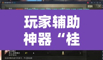 玩家辅助神器“桂麻圈怎么开挂”(透视挂)辅助透视教程