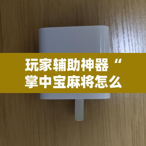 玩家辅助神器“掌中宝麻将怎么装挂”(透视挂)辅助透视教程