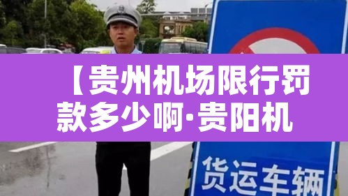 【贵州机场限行罚款多少啊·贵阳机场交通管制】